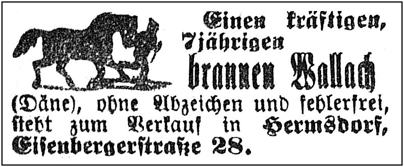 1903-01-15 Hdf Pferdeverkauf